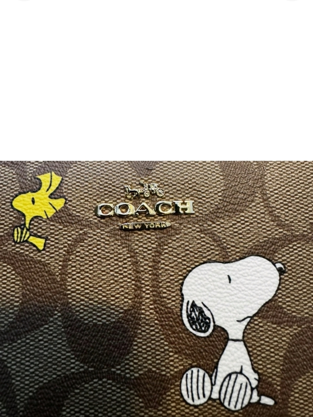 Coach x Snoopy Signature Wallet - Picture 3 of 5